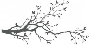 Linen and Twigs